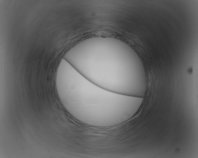 X0000115850033200912242047