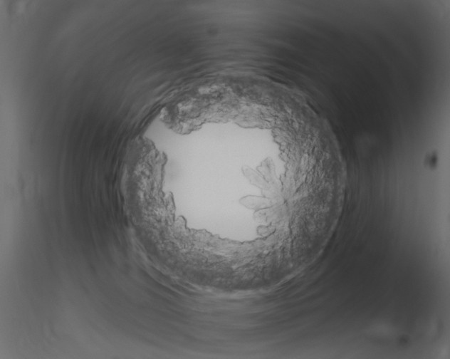 X0000115850036200912242047