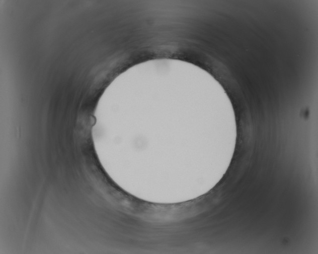 X0000115850037200912242047