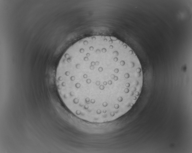 X0000115850038200912242047