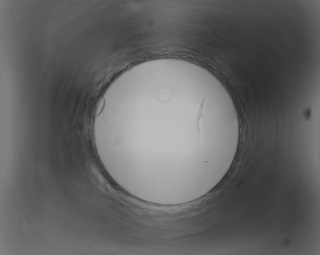 X0000115850039200912242047