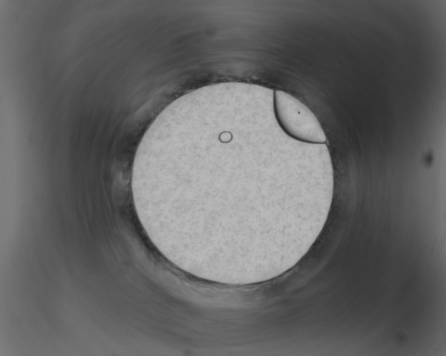 X0000115850040200912242047