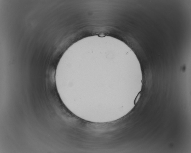 X0000115850041200912242047