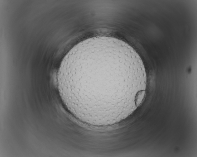 X0000115850042200912242047
