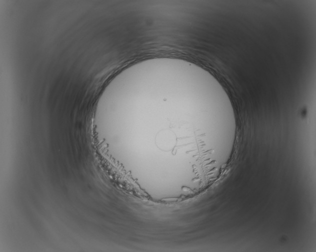 X0000115850043200912242047
