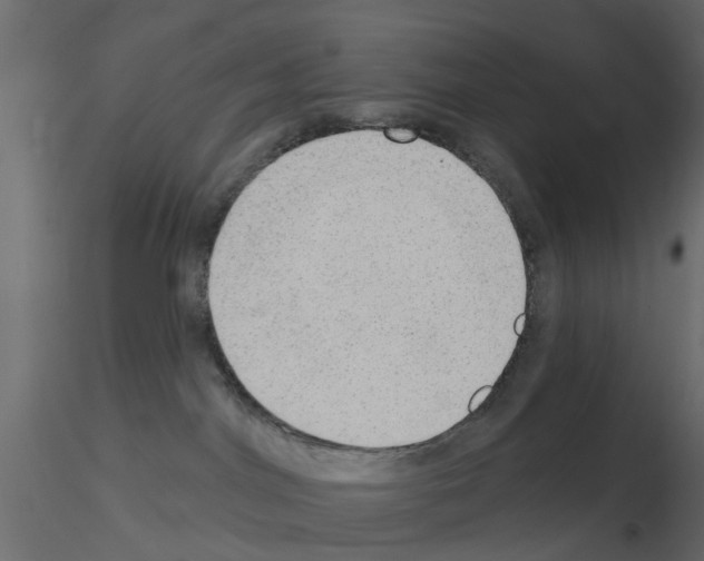 X0000115850044200912242047