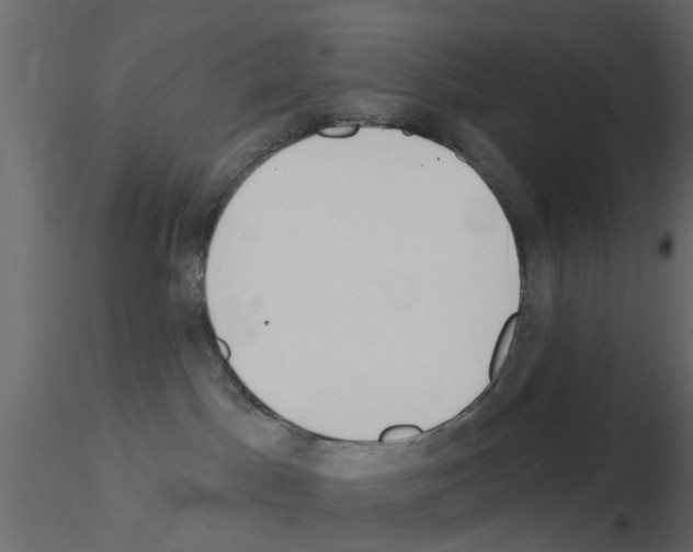X0000115850045200912242047