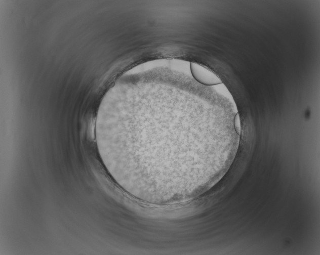 X0000115850046200912242047