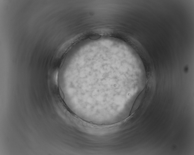 X0000115850047200912242047