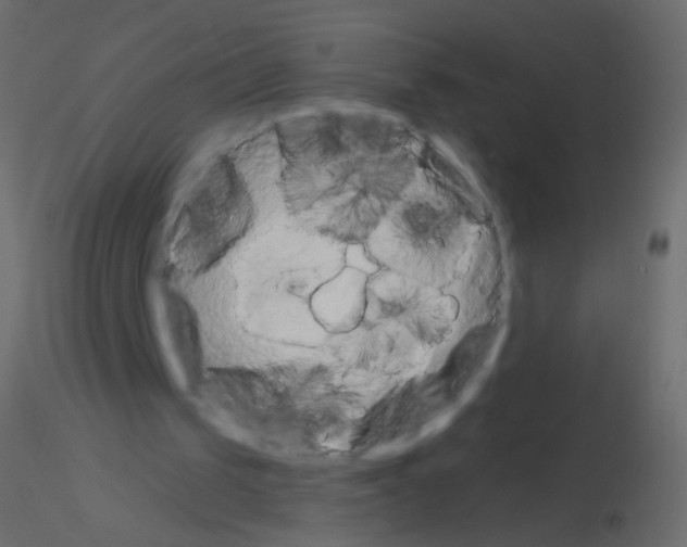 X0000115850049200912242046