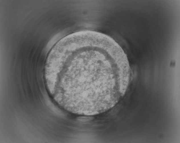 X0000115850051200912242046