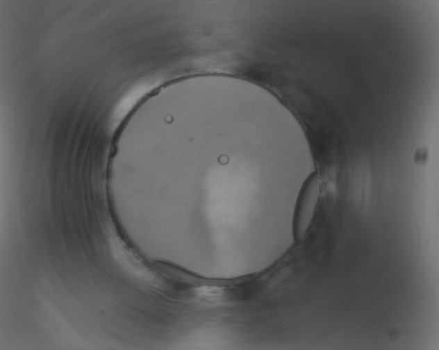 X0000115850052200912242046