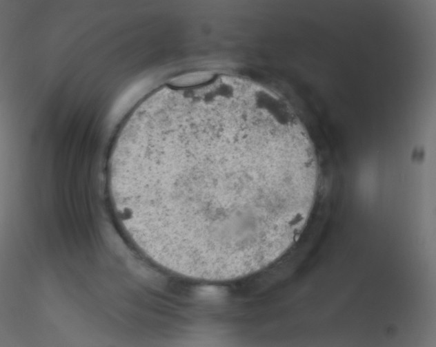 X0000115850053200912242046
