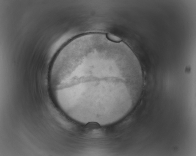 X0000115850056200912242046