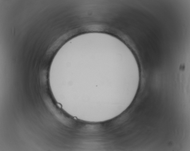 X0000115850057200912242046