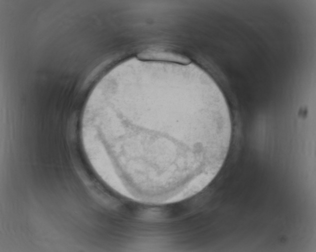 X0000115850058200912242046
