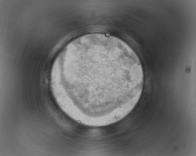 X0000115850059200912242046