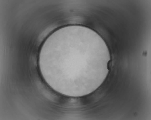 X0000115850060200912242046