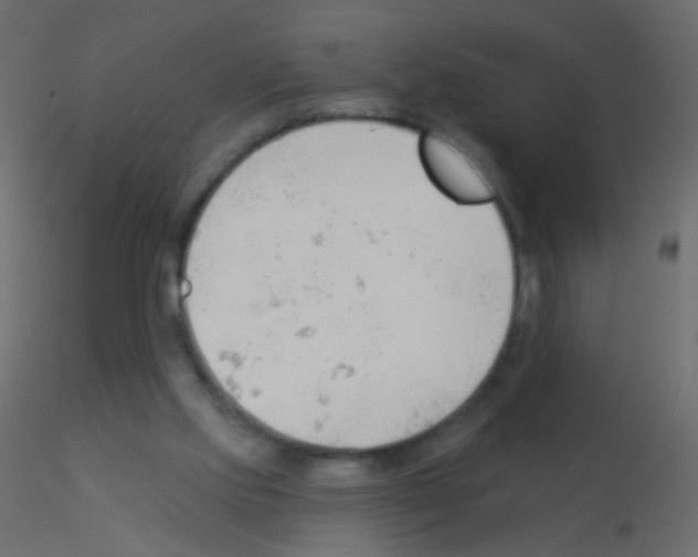X0000115850061200912242046