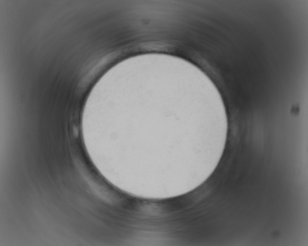X0000115850062200912242046
