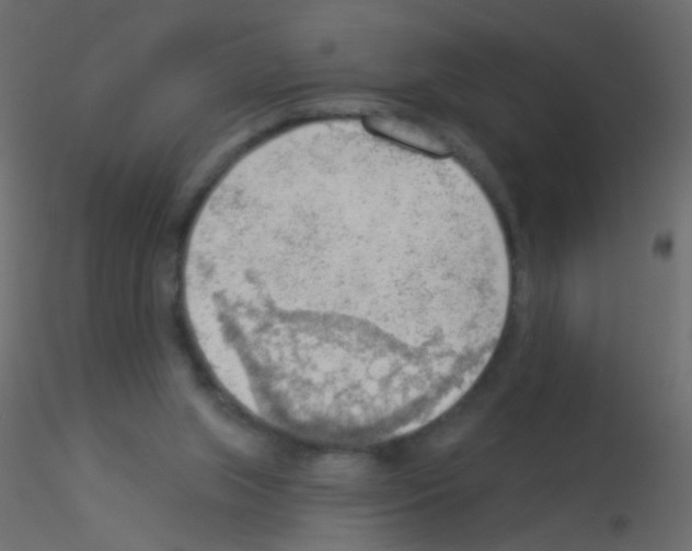 X0000115850063200912242046