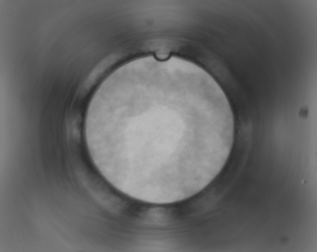 X0000115850064200912242046