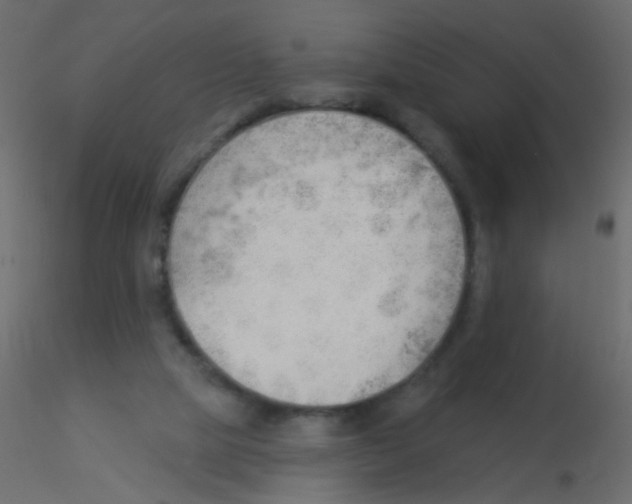 X0000115850065200912242046