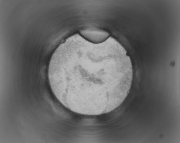 X0000115850066200912242046