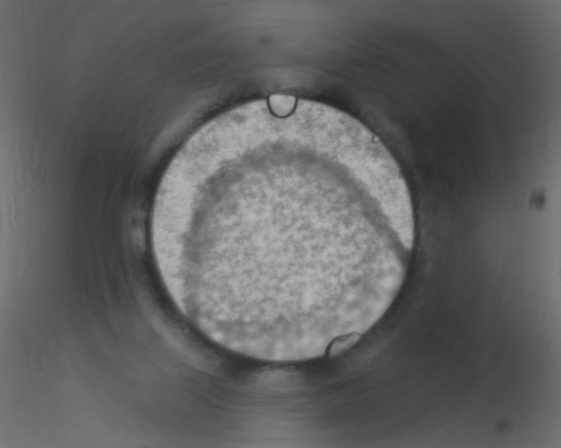 X0000115850067200912242046