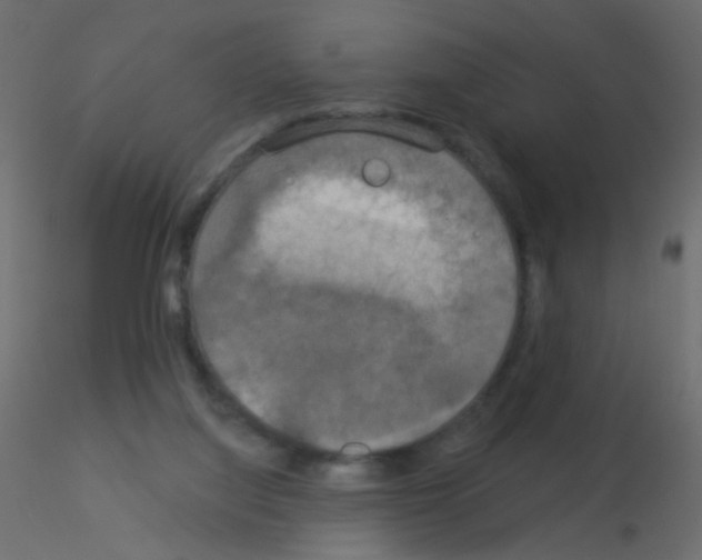X0000115850068200912242046