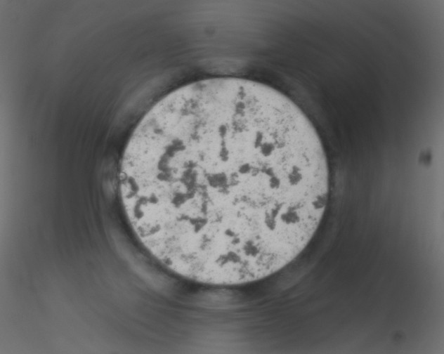 X0000115850069200912242046