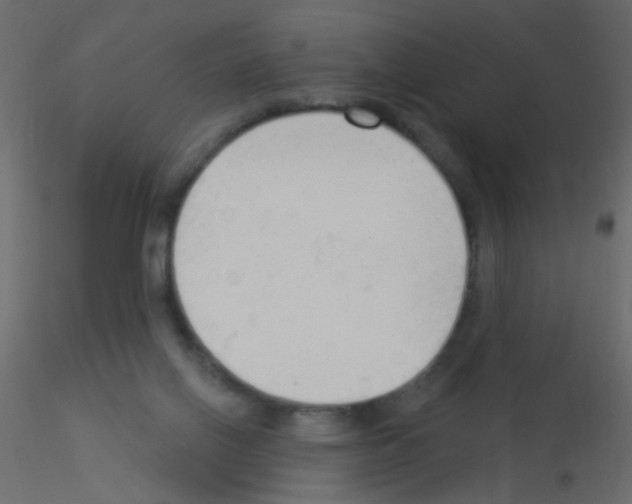 X0000115850070200912242046