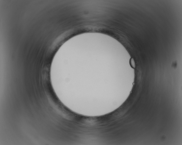 X0000115850071200912242046