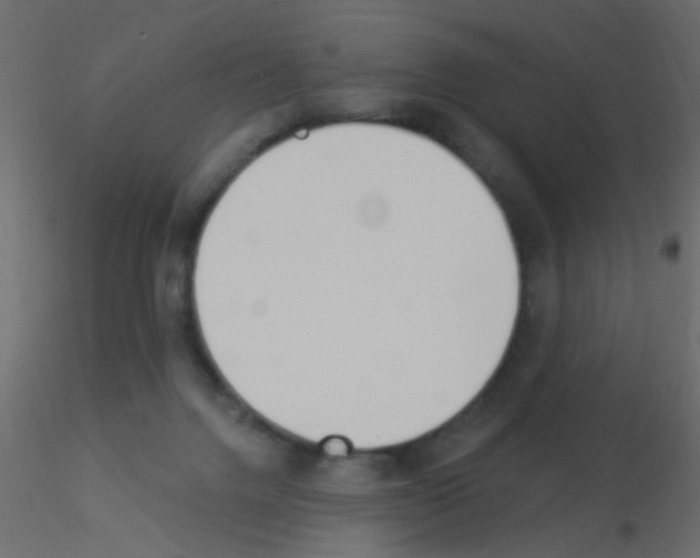 X0000115850072200912242046