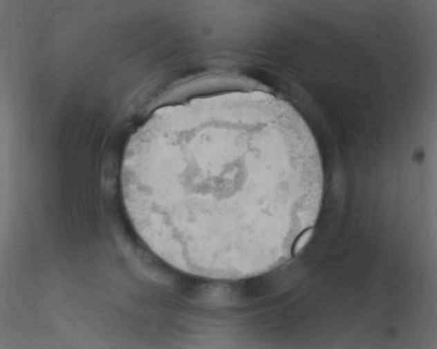 X0000115850074200912242046