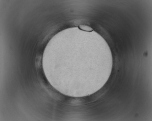 X0000115850075200912242046