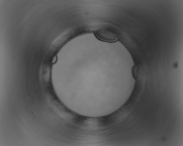 X0000115850076200912242046