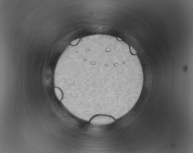 X0000115850077200912242046