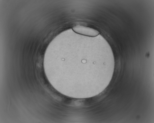 X0000115850078200912242046
