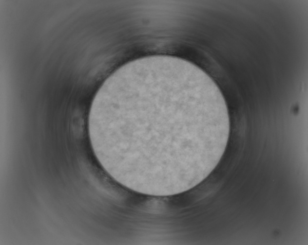 X0000115850080200912242046