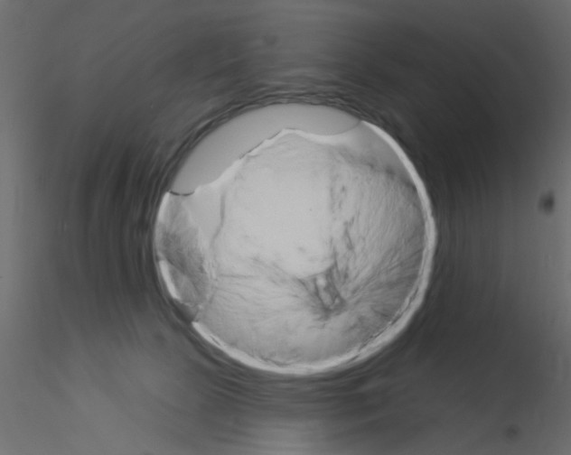 X0000115850081200912242046