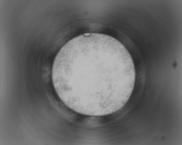 X0000115850082200912242046