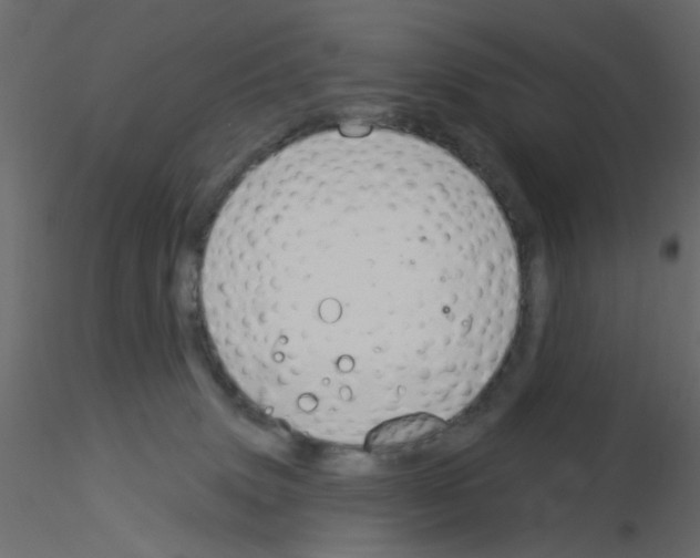 X0000115850083200912242046