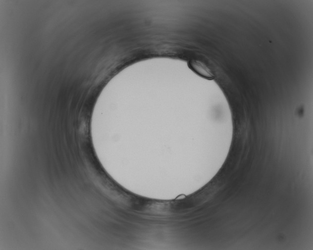 X0000115850084200912242046