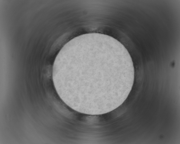 X0000115850085200912242046
