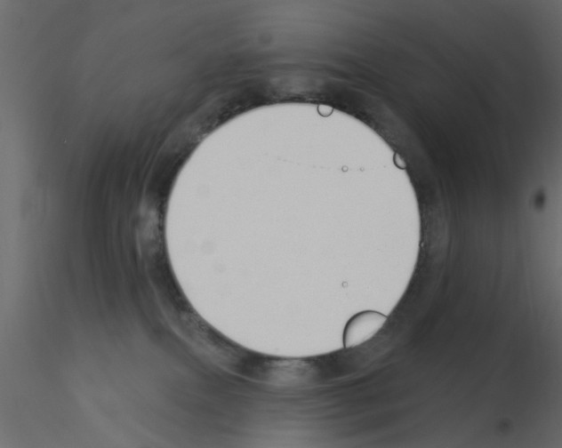 X0000115850087200912242046