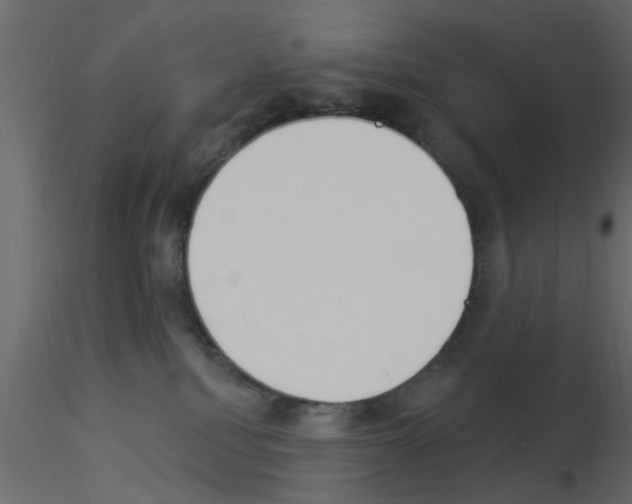 X0000115850088200912242046
