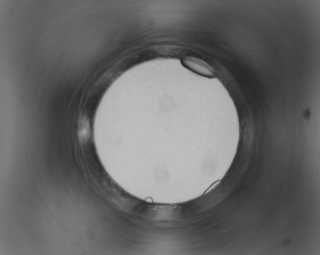 X0000115850089200912242046