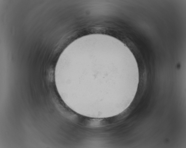 X0000115850090200912242047