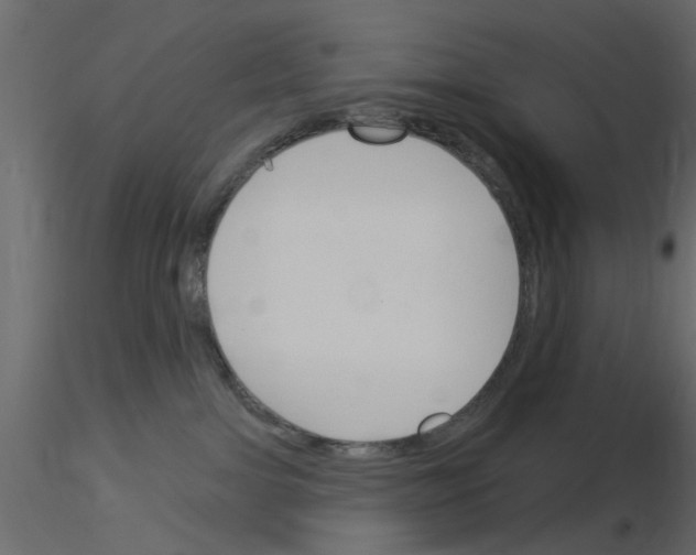 X0000115850091200912242047